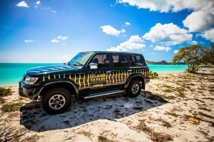 Hotels near Tropical Adventures - Island Safari