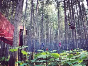 Skytrek Adventure Park