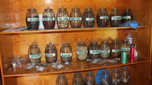 Mayan Medicine Museum