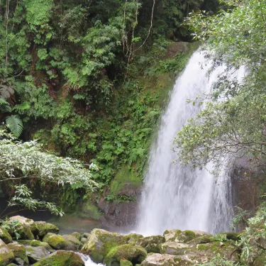 Provincia de Oudomxay