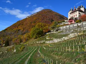 Menthon-Saint-Bernard Castle