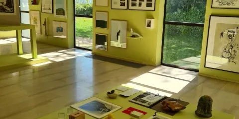 Museum Dhondt-Dhaenens