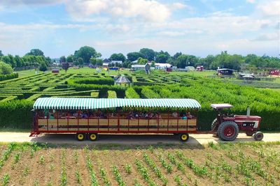 Harbes Family Farm - Mattituck