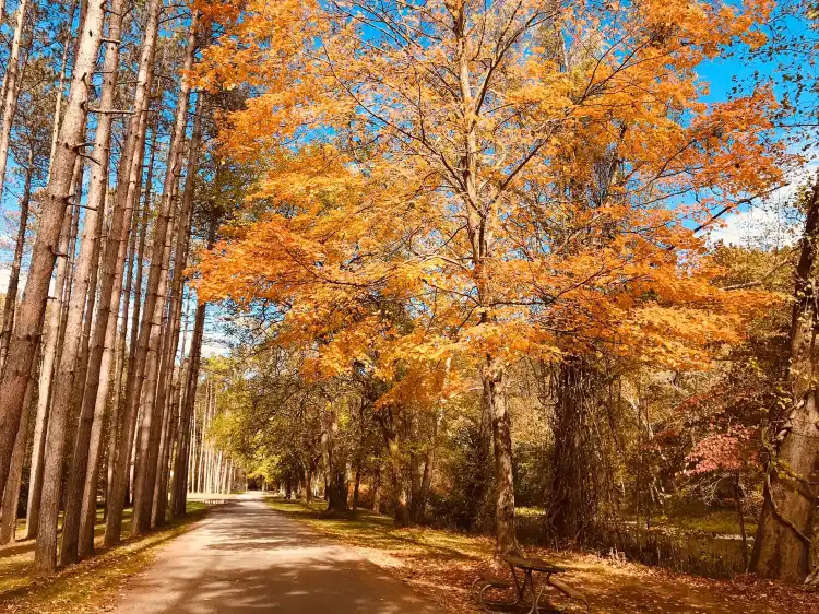Các khách sạn ở Columbiana County