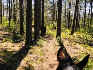 Rimrock Outfitters