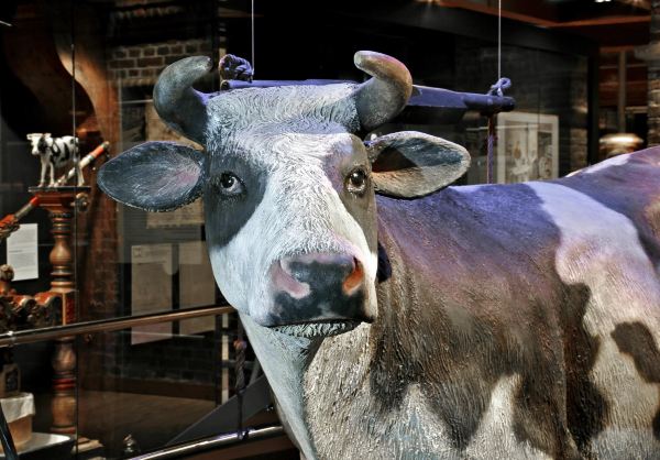 Dutch Cheese Museum