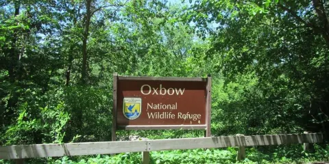 Oxbow National Wildlife Refuge