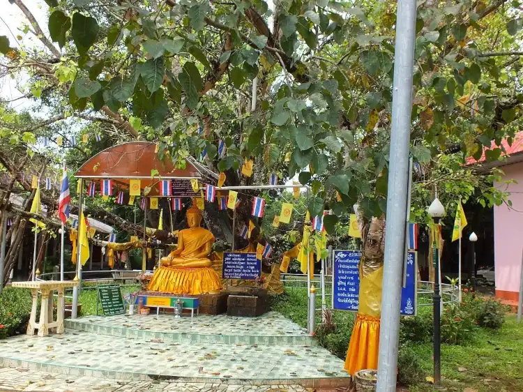 Hotels in Si Mahosot