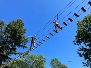 La Forêt de l'Aventure