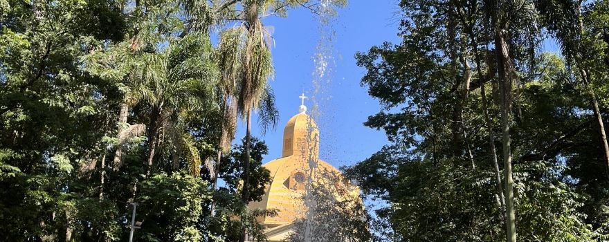 São Carlos