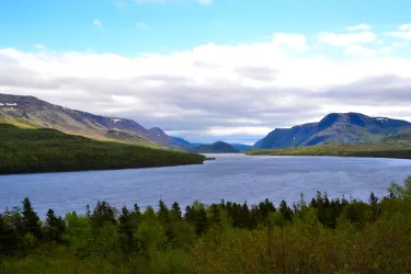 Trout River Pond