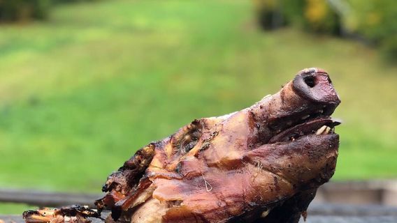 Mount Sunapee Resort