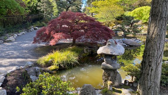 Highline SeaTac Botanical Garden