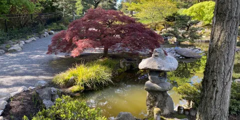 Highline SeaTac Botanical Garden