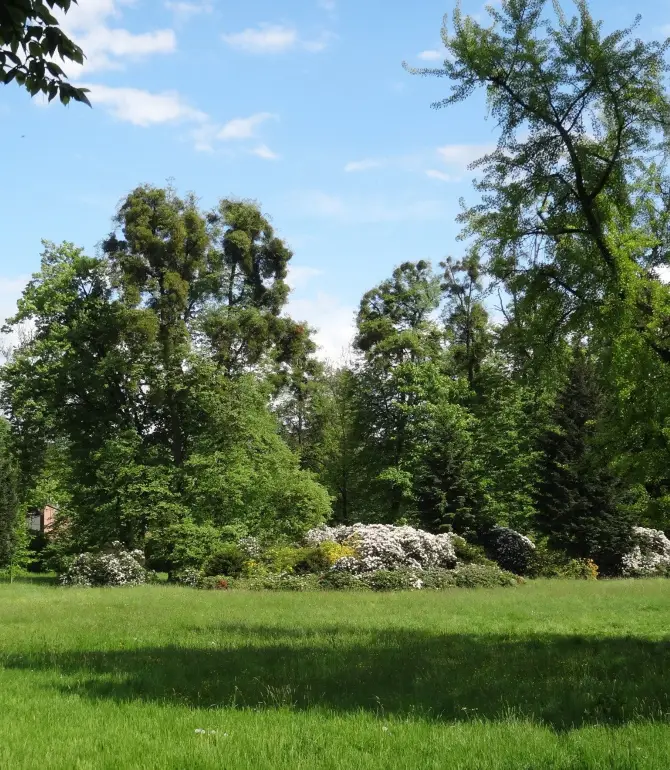 Karvina