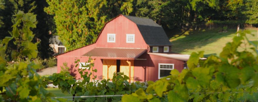 Dancing Fish Vineyards