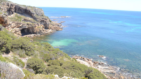 South West Eco Discoveries