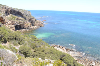 South West Eco Discoveries