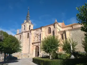 Iglesia Colegial de San Pedro Apostol