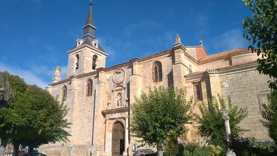 Iglesia Colegial de San Pedro Apostol