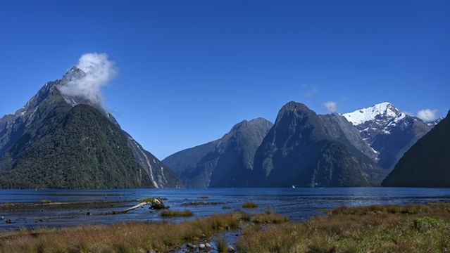 Milford Foreshore Walk