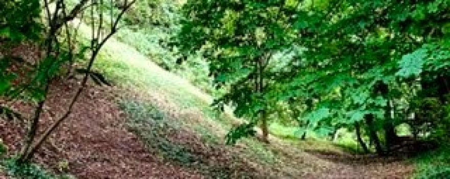 Deddington Castle