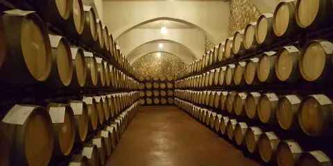 Bodegas Enguera
