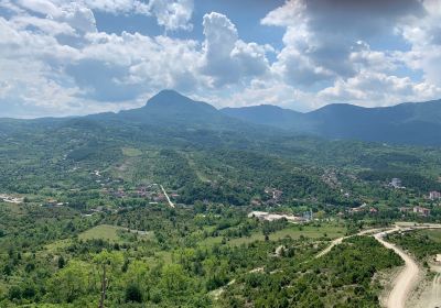 Cide