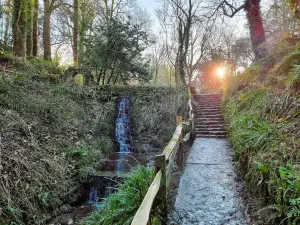 Ninesprings Park