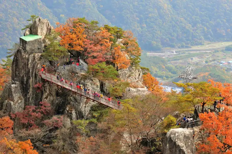 Hotels in Wanju