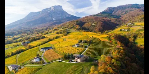 Domaine DUPRAZ