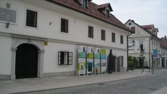 Rudolf Maister's House