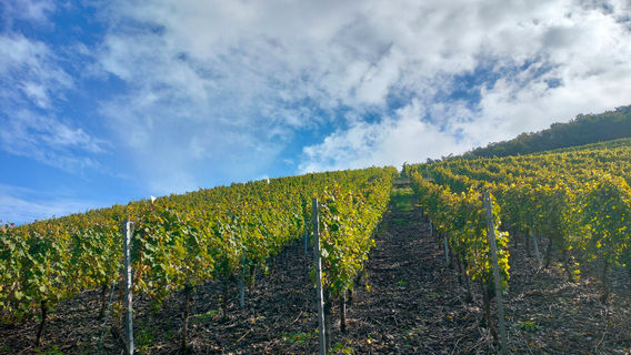Cochem