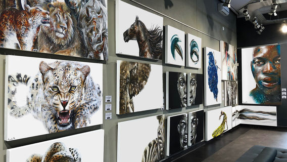 Sénéchal-Senekal Art Gallery