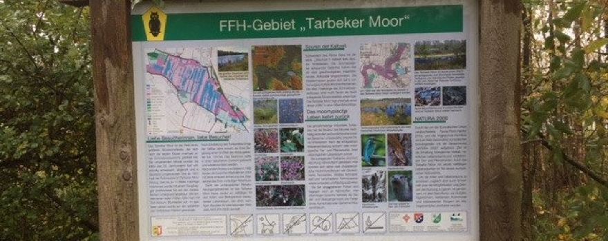 Tarbeker Moor