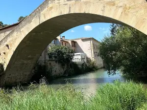 Weevil Bridge