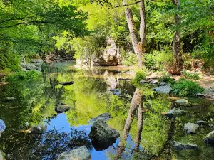 Заповедник - Речка Младежко Гора Страндджа / River Mladejko Strandja river