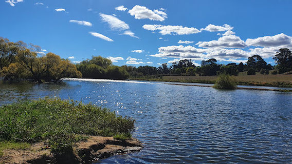 Mill Dam Reserve