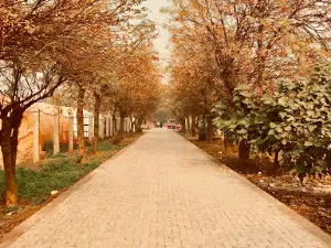 Zoo Kamalia