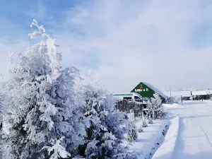 Krest'yanskoye Khozyaystvo "Aleks I N"