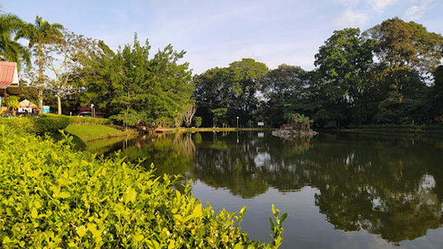 Comfatolima Lagos Club