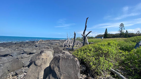South Head Parklands