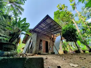 GARDEN UNDER THE SKY