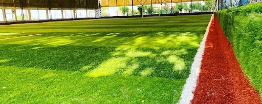 Harlem spor kompleksi