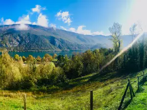 Point de Vue