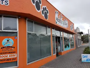 Head To Tail Pets