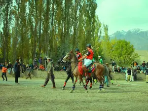 Polo Ground Booni