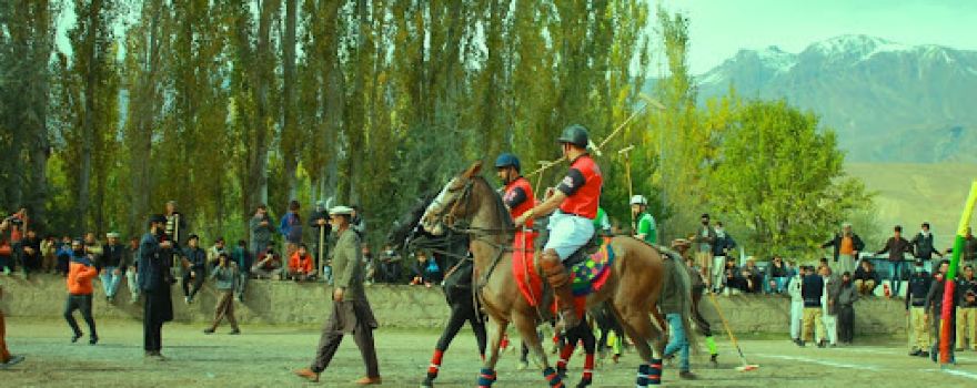 Polo Ground Booni