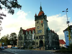 Forest of Haguenau