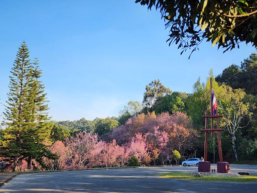 Pha Thung Doi Inthanon
